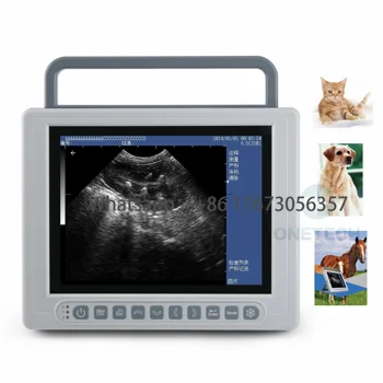 B21vet Veterinarski ultrazvok stroj, črno beli živali ultrazvok oprema zaslon na dotik