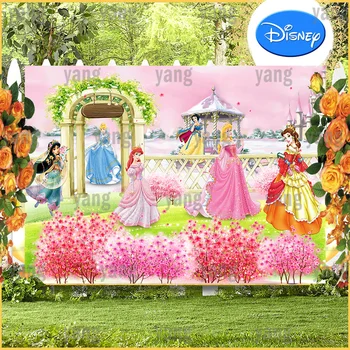 Disney Princesa Pepelka Sneguljčica Aurora Belle Ariel Jasmina Rojstni Dan Risanka Grad Ozadje Fotografije Za Ozadje