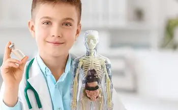 Interaktivne igrače Človeško Telo 3D Organ, Organ Model Realistične Mehko, Človeško Telo Anatomija Model Izobraževanja Igrače Izmenljive Organ Kosti