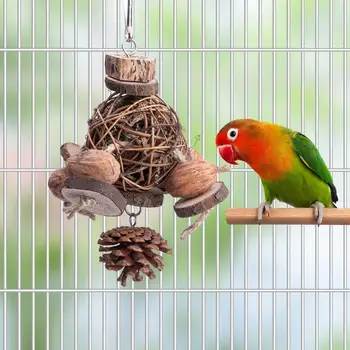 Papiga Igrača Ugriz Odporne Lajšanje Dolgčas Brušenje Zob Žvečilni Ugriz Visi Kletki Visi Kavelj ptica dodatki